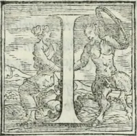 Picture 260 of 268 from De le lettere di m. Clavdio Tolomei lib. sette. Con vna breve dichiarazione in fine di tvtto l'ordin de l'ortografia di qvesta opera (1547), leaf 457