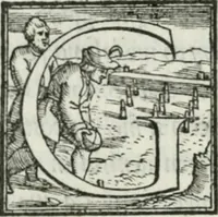 Picture 20 of 268 from De le lettere di m. Clavdio Tolomei lib. sette. Con vna breve dichiarazione in fine di tvtto l'ordin de l'ortografia di qvesta opera (1547), leaf 47