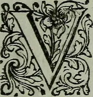 An illustration from De levens-beschryvingen der Nederlandsche konst-schilders en konst-schilderessen, met een uytbreyding over de schilder-konst der ouden (1729)