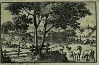 An illustration from De levens-beschryvingen der Nederlandsche konst-schilders en konst-schilderessen, met een uytbreyding over de schilder-konst der ouden (1729)