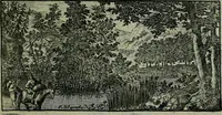 An illustration from De levens-beschryvingen der Nederlandsche konst-schilders en konst-schilderessen, met een uytbreyding over de schilder-konst der ouden (1729)