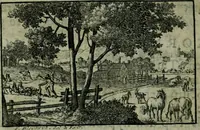 An illustration from De levens-beschryvingen der Nederlandsche konst-schilders en konst-schilderessen, met een uytbreyding over de schilder-konst der ouden (1729)