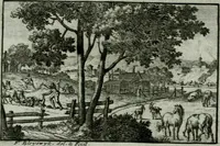 Picture 37 of 65 from De levens-beschryvingen der Nederlandsche konst-schilders en konst-schilderessen, met een uytbreyding over de schilder-konst der ouden (1729), leaf 223