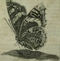 An illustration from De levens-beschryvingen der Nederlandsche konst-schilders en konst-schilderessen, met een uytbreyding over de schilder-konst der ouden (1729)