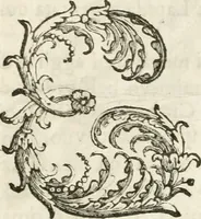 An illustration from Del funerale celebrato nel duomo di Torino all' Altezza Reale di Carlo Emanuele II, duca di Sauoia ... : da madama reale Maria Giovanna Battista di Sauoia, madre e tutrice dell' Altezza Reale di Vittorio Amadeo II, e reggente de' suoi stati (1676)