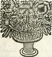 An illustration from Del funerale celebrato nel duomo di Torino all' Altezza Reale di Carlo Emanuele II, duca di Sauoia ... : da madama reale Maria Giovanna Battista di Sauoia, madre e tutrice dell' Altezza Reale di Vittorio Amadeo II, e reggente de' suoi stati (1676)