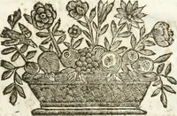 An illustration from Del funerale celebrato nel duomo di Torino all' Altezza Reale di Carlo Emanuele II, duca di Sauoia ... : da madama reale Maria Giovanna Battista di Sauoia, madre e tutrice dell' Altezza Reale di Vittorio Amadeo II, e reggente de' suoi stati (1676)