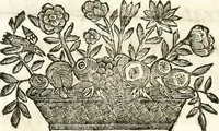 An illustration from Del funerale celebrato nel duomo di Torino all' Altezza Reale di Carlo Emanuele II, duca di Sauoia ... : da madama reale Maria Giovanna Battista di Sauoia, madre e tutrice dell' Altezza Reale di Vittorio Amadeo II, e reggente de' suoi stati (1676)