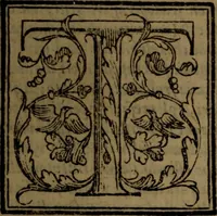 An illustration from Del governo de regni et delle republiche antiche et moderne (1567)