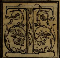 An illustration from Del governo de regni et delle republiche antiche et moderne (1567)