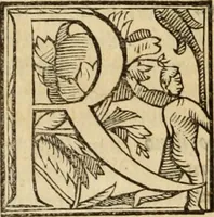 An illustration from Del governo et amministratione di diversi regni et repvbliche, cosi antiche come moderne (1578)