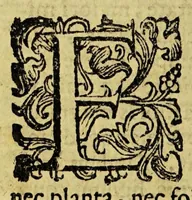 Picture 1 of 3 from De ligno sancto commentarium : in quo praecipuae qualitates eius & facultates omnes exacta diligentia exprimuntur, ex illisq[ue] lignum quoddam, quod nuper in Italiam delatum est, pseudolignum sanctum esse, & nullo modo verum, eius fautoribus accurato examine demonstratur. /Demetrio Canevario philosopho, et medico patricio genuensi auctore (1602), leaf 40