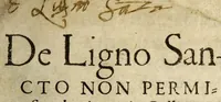 An illustration from De ligno sancto non permiscendo, (1540)
