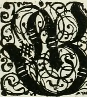 An illustration from Delineatio provinciarum Pannoniae et Imperii Turcici in Oriente : eine grundrichtige Beschreibung dess ganzen Aufgangs, sonderlich aber dess hochlöblichen Königreichs Ungarn, und der ganzen Türckey ... (1684)