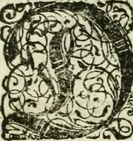 An illustration from Delineatio provinciarum Pannoniae et Imperii Turcici in Oriente : eine grundrichtige Beschreibung dess ganzen Aufgangs, sonderlich aber dess hochlöblichen Königreichs Ungarn, und der ganzen Türckey ... (1684)