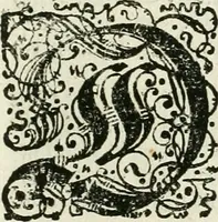 An illustration from Delineatio provinciarum Pannoniae et Imperii Turcici in Oriente : eine grundrichtige Beschreibung dess ganzen Aufgangs, sonderlich aber dess hochlöblichen Königreichs Ungarn, und der ganzen Türckey ... (1684)