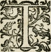An illustration from Della architettura di Gioseffe Viola Zanini padouano pittore & architetto libri due, ne'quali con nuoua simmetria & facoltà si mostrano le giuste regole de i cinque ordini di detta architettura, & osseruationi de'più eccellenti architetti, che in quella habbiano dato ammaestramenti... Aggiuntoui di nuouo il modo di leuar il fumo alli camini, si fatti, come da farsi da Andrea Minorelli.. (1677)