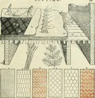 Picture 122 of 183 from Della architettvra (1590), leaf 114