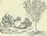 Picture 146 of 183 from Della architettvra (1590), leaf 130