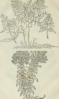 An illustration from Della architettvra (1590)