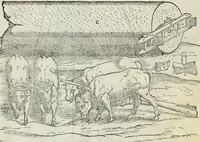 An illustration from Della architettvra (1590)