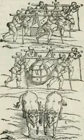 Picture 179 of 183 from Della architettvra (1590), leaf 155