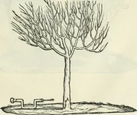 An illustration from Della architettvra (1590)
