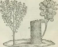 An illustration from Della architettvra (1590)