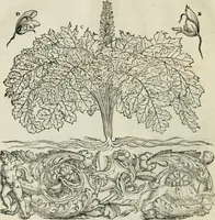 Picture 60 of 183 from Della architettvra (1590), leaf 59
