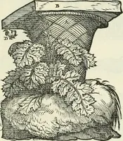 Picture 94 of 183 from Della architettvra (1590), leaf 86