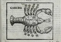 Picture 20 of 31 from Della celeste fisonomia di Gio. Battista della Porta Napoletano, libri sei : nei quali ributtata la vanità dell'astrologia giudiciaria, si dà maniera di essattamente conoscere per via delle cause naturali tutto quello, che l'aspetto, la presenza, & le fattezze de gl'huomini possono fisicamente significare, e promettere : opera noua, & piena di dotta curiosità (1616), leaf 101