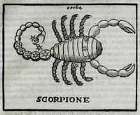 An illustration from Della celeste fisonomia di Gio. Battista della Porta Napoletano, libri sei : nei quali ributtata la vanità dell'astrologia giudiciaria, si dà maniera di essattamente conoscere per via delle cause naturali tutto quello, che l'aspetto, la presenza, & le fattezze de gl'huomini possono fisicamente significare, e promettere : opera noua, & piena di dotta curiosità (1616)