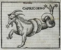 Picture 24 of 31 from Della celeste fisonomia di Gio. Battista della Porta Napoletano, libri sei : nei quali ributtata la vanità dell'astrologia giudiciaria, si dà maniera di essattamente conoscere per via delle cause naturali tutto quello, che l'aspetto, la presenza, & le fattezze de gl'huomini possono fisicamente significare, e promettere : opera noua, & piena di dotta curiosità (1616), leaf 112