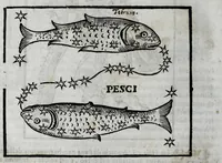 Picture 25 of 31 from Della celeste fisonomia di Gio. Battista della Porta Napoletano, libri sei : nei quali ributtata la vanità dell'astrologia giudiciaria, si dà maniera di essattamente conoscere per via delle cause naturali tutto quello, che l'aspetto, la presenza, & le fattezze de gl'huomini possono fisicamente significare, e promettere : opera noua, & piena di dotta curiosità (1616), leaf 114