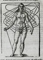 An illustration from Della celeste fisonomia di Gio. Battista della Porta Napoletano, libri sei : nei quali ributtata la vanità dell'astrologia giudiciaria, si dà maniera di essattamente conoscere per via delle cause naturali tutto quello, che l'aspetto, la presenza, & le fattezze de gl'huomini possono fisicamente significare, e promettere : opera noua, & piena di dotta curiosità (1616)
