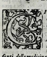 Picture 29 of 31 from Della celeste fisonomia di Gio. Battista della Porta Napoletano, libri sei : nei quali ributtata la vanità dell'astrologia giudiciaria, si dà maniera di essattamente conoscere per via delle cause naturali tutto quello, che l'aspetto, la presenza, & le fattezze de gl'huomini possono fisicamente significare, e promettere : opera noua, & piena di dotta curiosità (1616), leaf 149