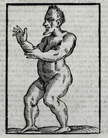 An illustration from Della celeste fisonomia di Gio. Battista della Porta Napoletano, libri sei : nei quali ributtata la vanità dell'astrologia giudiciaria, si dà maniera di essattamente conoscere per via delle cause naturali tutto quello, che l'aspetto, la presenza, & le fattezze de gl'huomini possono fisicamente significare, e promettere : opera noua, & piena di dotta curiosità (1616)