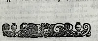 Picture 10 of 31 from Della celeste fisonomia di Gio. Battista della Porta Napoletano, libri sei : nei quali ributtata la vanità dell'astrologia giudiciaria, si dà maniera di essattamente conoscere per via delle cause naturali tutto quello, che l'aspetto, la presenza, & le fattezze de gl'huomini possono fisicamente significare, e promettere : opera noua, & piena di dotta curiosità (1616), leaf 37