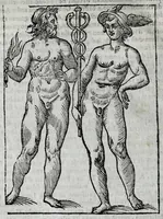Picture 11 of 31 from Della celeste fisonomia di Gio. Battista della Porta Napoletano, libri sei : nei quali ributtata la vanità dell'astrologia giudiciaria, si dà maniera di essattamente conoscere per via delle cause naturali tutto quello, che l'aspetto, la presenza, & le fattezze de gl'huomini possono fisicamente significare, e promettere : opera noua, & piena di dotta curiosità (1616), leaf 38