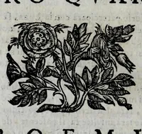 Picture 17 of 31 from Della celeste fisonomia di Gio. Battista della Porta Napoletano, libri sei : nei quali ributtata la vanità dell'astrologia giudiciaria, si dà maniera di essattamente conoscere per via delle cause naturali tutto quello, che l'aspetto, la presenza, & le fattezze de gl'huomini possono fisicamente significare, e promettere : opera noua, & piena di dotta curiosità (1616), leaf 94