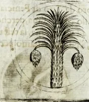 An illustration from Della descrittione di Malta isola nel mare Siciliano : con le sue antichita, ed altre notitie : libri quattro (1647)