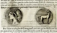 Picture 23 of 33 from Della descrittione di Malta isola nel mare Siciliano : con le sue antichita, ed altre notitie : libri quattro (1647), leaf 226