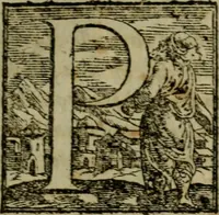 Picture 63 of 78 from Della espvgnatione et difesa delle fortezze di Gabriello Bvsca milanese libri due (1585), leaf 218
