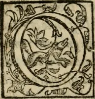 Picture 73 of 78 from Della espvgnatione et difesa delle fortezze di Gabriello Bvsca milanese libri due (1585), leaf 243