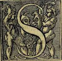 An illustration from Della famiglia de Medici (1610)