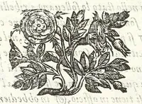 An illustration from Della felicità di Padoua di Angelo Portenari Padouano agosto. libri noue : nelli quali, mentre con nuouo ordine historico si proua ritrouarsi nella città di Padoua le conditioni alla felicità ciuile pertinenti : si raccontano gli antichi, e moderni suoi pregi, & honori et in particolare si commemorano li cittadinj suoi illustri per santità, prelature, lettere, arme, e magistrati (1623)