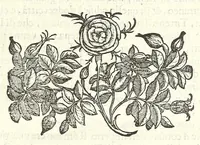Picture 5 of 17 from Della felicità di Padoua di Angelo Portenari Padouano agosto. libri noue : nelli quali, mentre con nuouo ordine historico si proua ritrouarsi nella città di Padoua le conditioni alla felicità ciuile pertinenti : si raccontano gli antichi, e moderni suoi pregi, & honori et in particolare si commemorano li cittadinj suoi illustri per santità, prelature, lettere, arme, e magistrati (1623), leaf 33