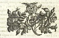An illustration from Della felicità di Padoua di Angelo Portenari Padouano agosto. libri noue : nelli quali, mentre con nuouo ordine historico si proua ritrouarsi nella città di Padoua le conditioni alla felicità ciuile pertinenti : si raccontano gli antichi, e moderni suoi pregi, & honori et in particolare si commemorano li cittadinj suoi illustri per santità, prelature, lettere, arme, e magistrati (1623)