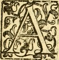An illustration from Della felicità di Padova (1623)