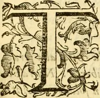 An illustration from Della felicità di Padova (1623)